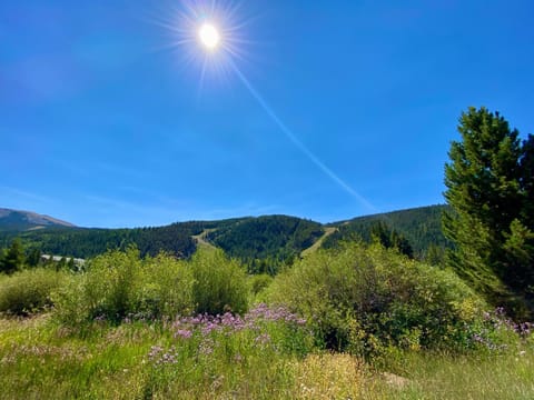 Lazy K Mountain Home 31 by SummitCove Lodging House in Keystone