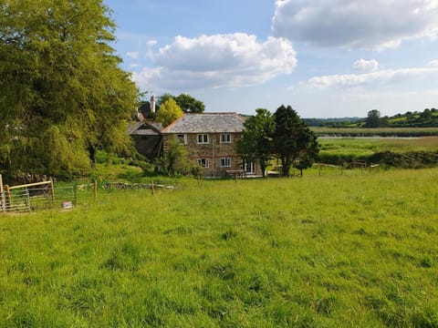 Natural landscape, Garden view