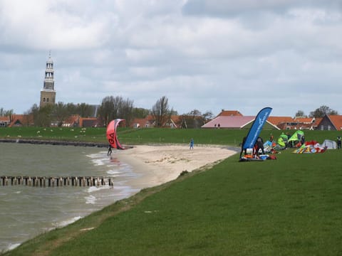 Beach, Windsurfing