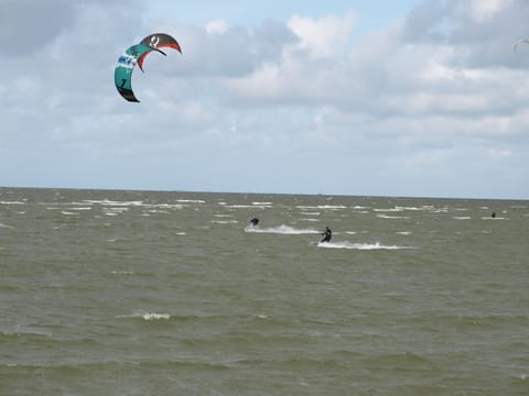 Beach, Windsurfing