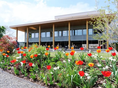 Property building, Spring