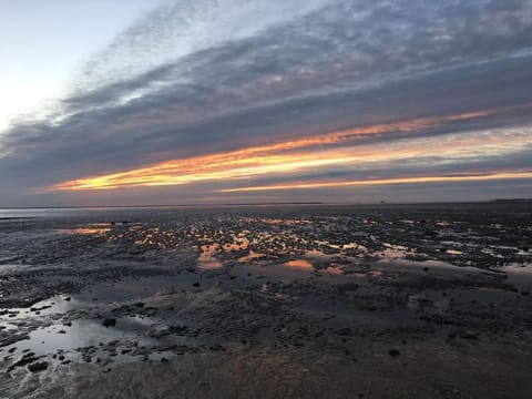 Natural landscape, Beach, Hiking, Sunset