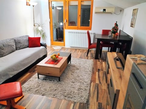 Apartment Viktor Condo in Belgrade