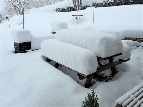 Balcony/Terrace, Balcony/Terrace