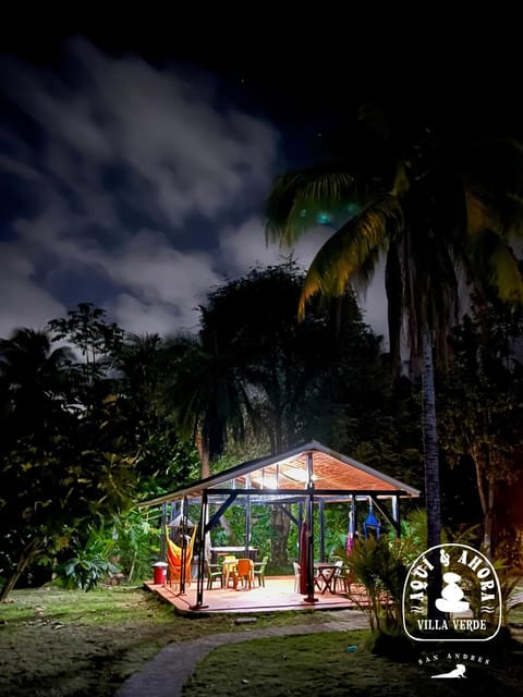 Night, Garden view