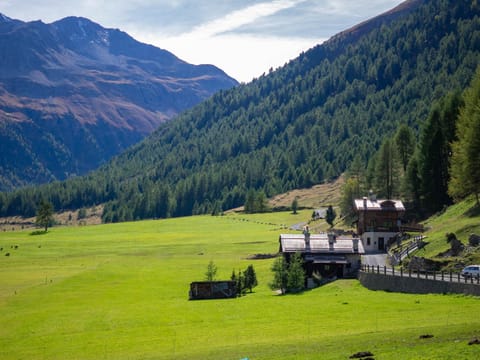 Baita Stebline - AlpineEscape Chalet in Canton of Grisons