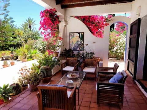 Balcony/Terrace, Garden view