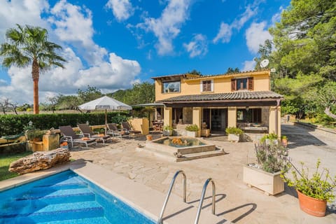 Garden, Pool view, Swimming pool