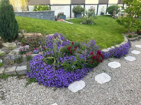 La Petite Maison de Jane Bed and Breakfast in Reims