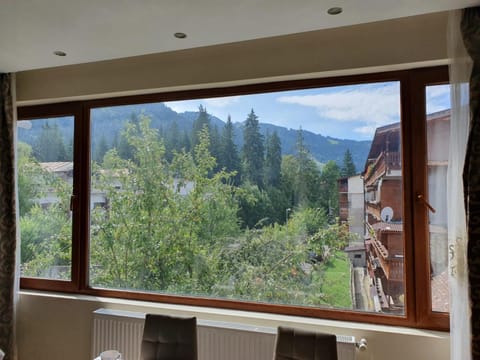 Montana View Apartment in Brasov