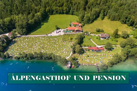 Bird's eye view, Summer