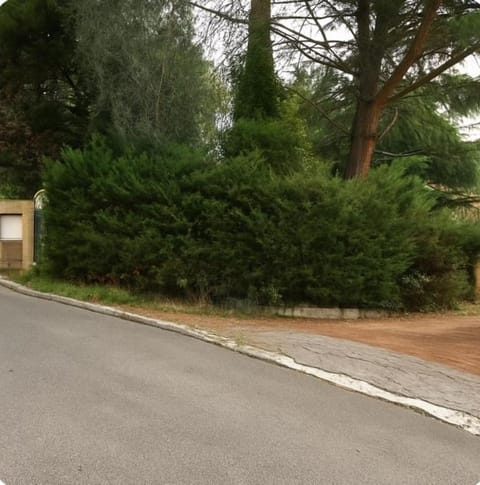 Neighbourhood, Natural landscape