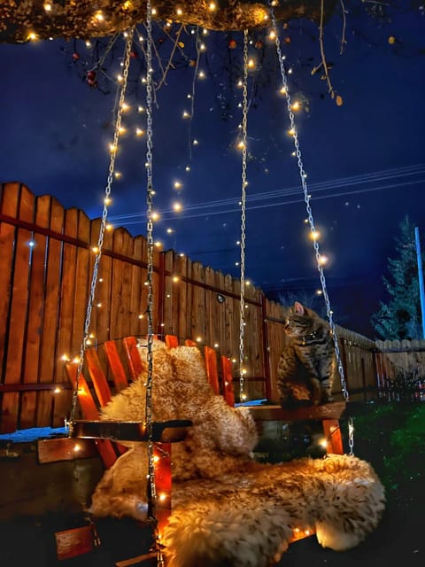 Night, Natural landscape, Seating area