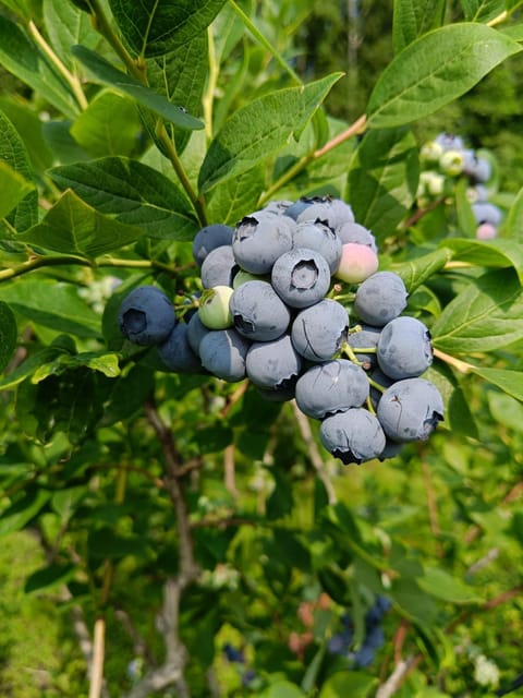 casa vacanza da ghislin Apartment in Province of Brescia