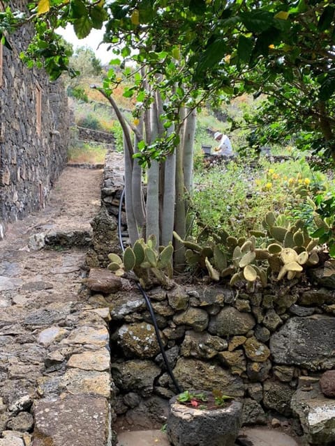 Casita Pedro González Apartment in El Hierro