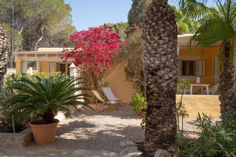 Bungalows Casa Amarilla Eigentumswohnung in Formentera