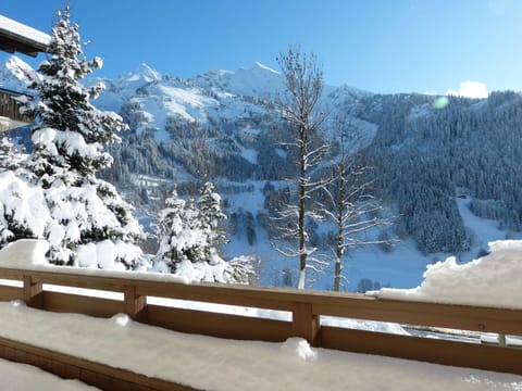 Appartement chaleureux 3 pièces, 6 personnes, WIFI, proche pistes - FR-1-304-237 Apartment in La Clusaz