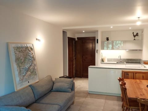 Duplex rénové 3 pièces avec jardin, parking et animaux admis à Chamonix - FR-1-517-25 Apartment in Chamonix