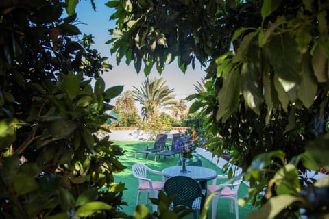 Garden, Balcony/Terrace, Autumn, Garden view