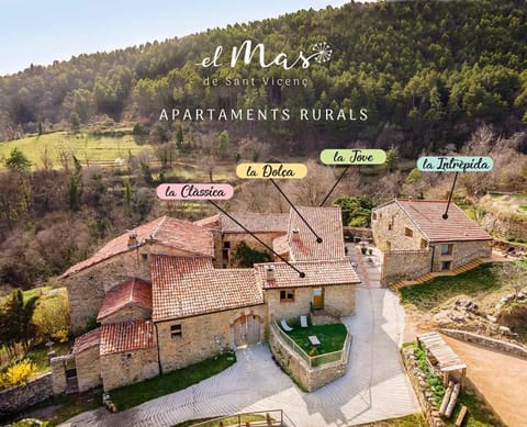 El Mas de Sant Vicenç - apartamentos rurales Apartment in Cerdanya