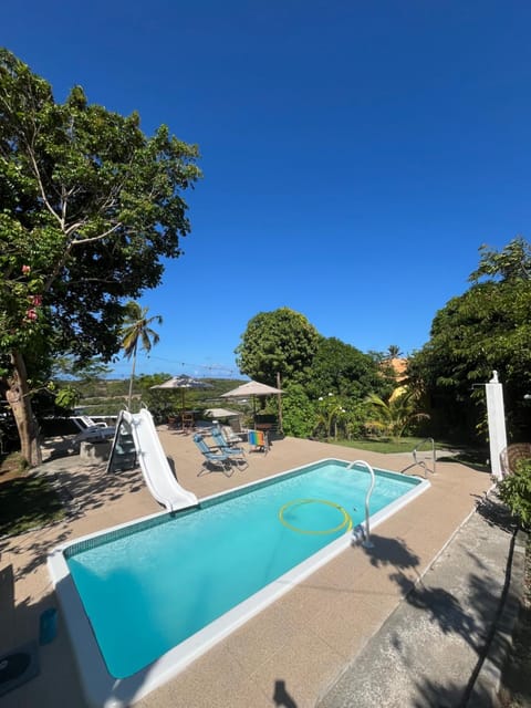 Day, Pool view, Swimming pool, sunbed