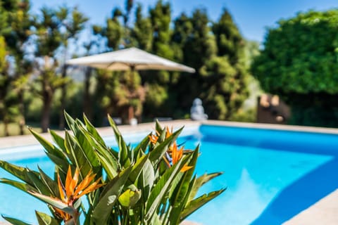 Garden, Garden view, Pool view, Swimming pool