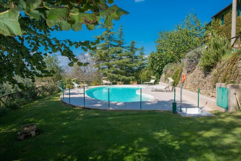 Summer, Garden, Garden view, Pool view, Swimming pool, Swimming pool