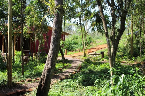 Yateí-house Hostel in Misiones Province, Argentina