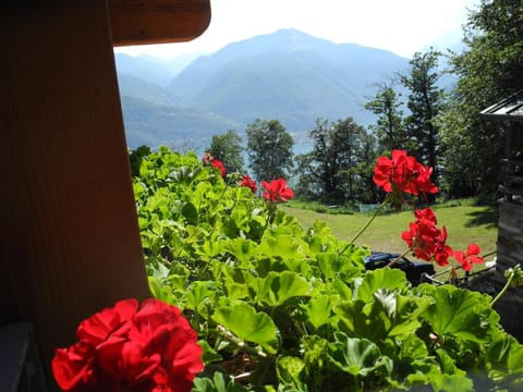 Agriturismo Piccolo paradiso Apartment in Province of Lecco
