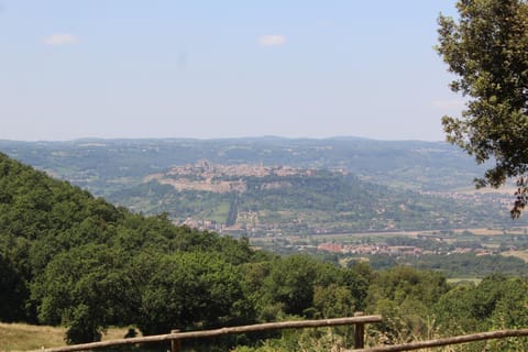 Bird's eye view, On site, City view, Landmark view