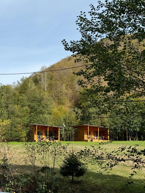 Natural landscape, Garden, Garden view, Mountain view