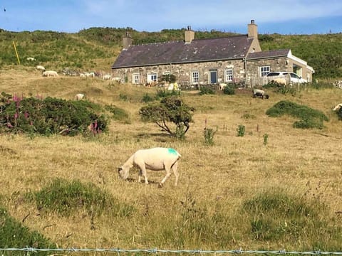 1 Bryn Tirion Uchaf House in Wales