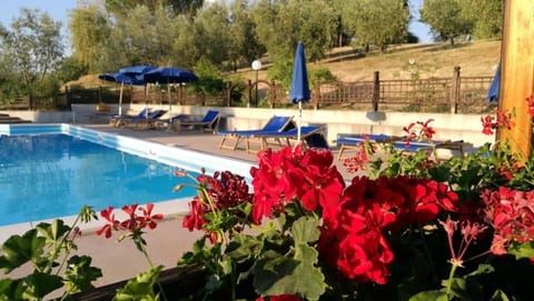 Decorative detail, Swimming pool