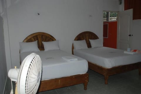 Hospedaje Papagrande Bed and Breakfast in State of Quintana Roo