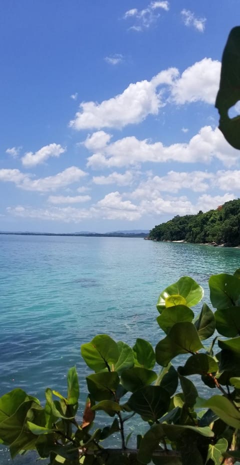 Natural landscape, Sea view