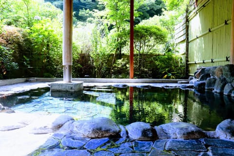 Onsen Guest House Tsutaya Ryokan in Hakone