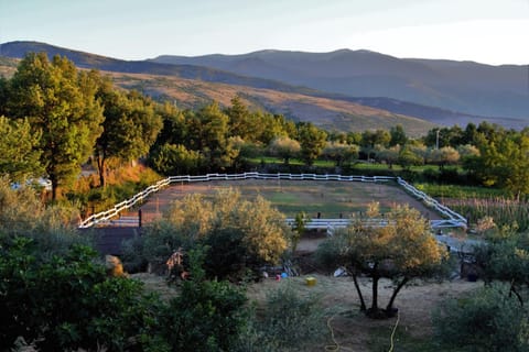 Fattoria La Tana della Volpe Bed and Breakfast in Molise, Italy