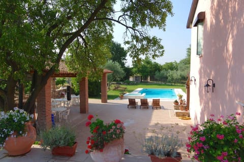 Patio, Garden, Swimming pool