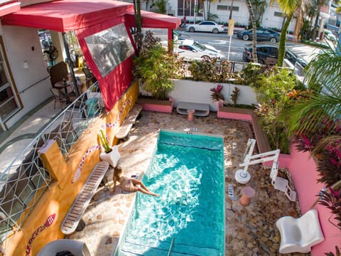 Patio, Day, Pool view, Swimming pool