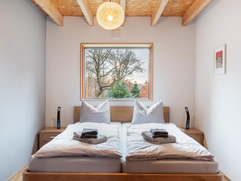 Splendid Holiday Home in Freital with Sauna Maison in Freital