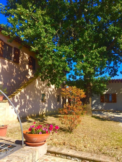 Property building, Facade/entrance, Day, Floor plan