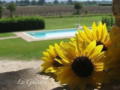 Garden, Balcony/Terrace, Other, Pool view