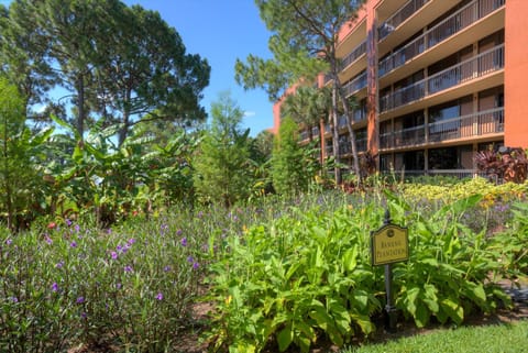 Property building, Garden