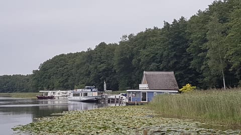 Hausboot Mirabella am Müritz Nationalpark Festanliegend Angelegtes Boot in Rechlin