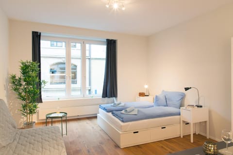 HITrental Town Hall Apartments Condo in Basel