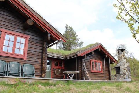 Lillesander - 3 bedroom cabin Chalet in Innlandet