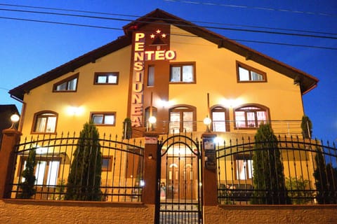 Pensiunea Teo Bed and Breakfast in Timiș County