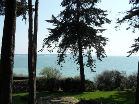 Garden, Sea view