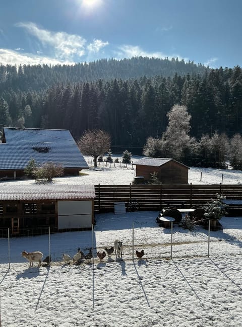 LES CŒURS DU TILLEUL Apartment in Gérardmer