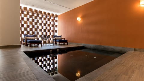 Miyana Suites Condo in Mexico City